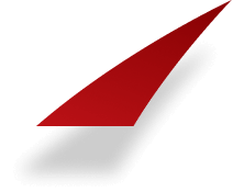fin